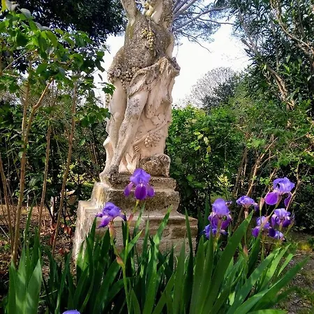Domus Augusti